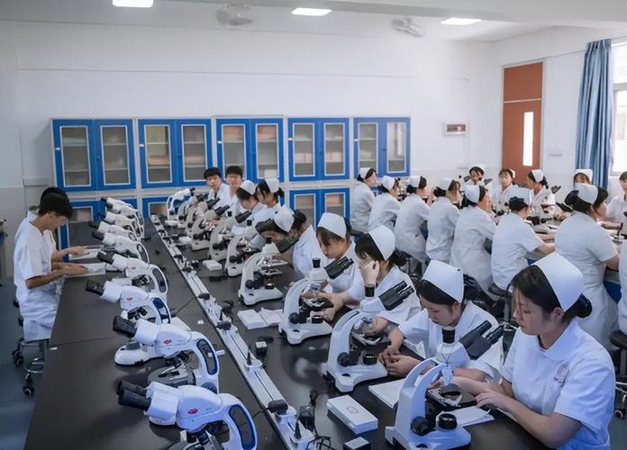 健康教育与促进 构建学校与工厂的健康支持体系